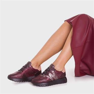 Wonders Odisei Nylon Bungee Trainer - Merlot